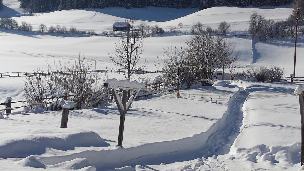 Ferienwohnungen Haus-Holzer Mauterndorf  Exterior photo