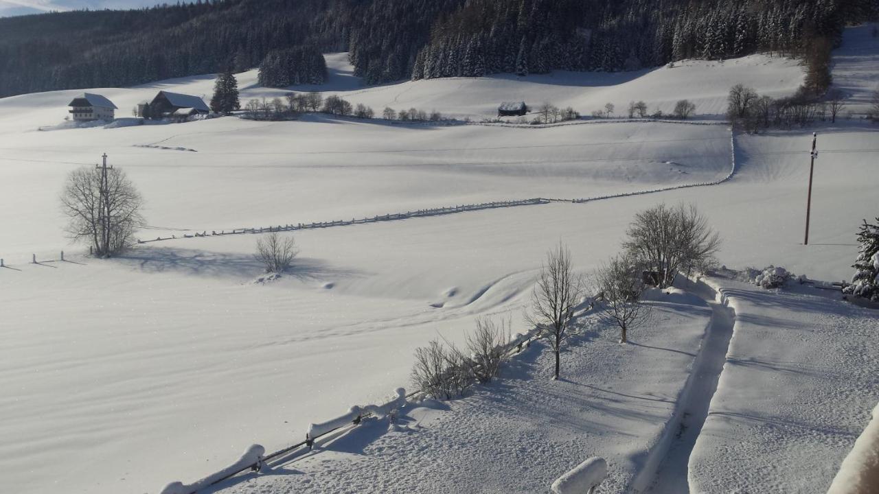 Ferienwohnungen Haus-Holzer Mauterndorf  Exterior photo